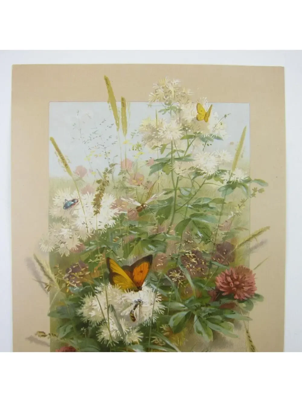 Victorian Easter Greeting Card Flowers Wheat Butterfly Grasshopper Antique 1884